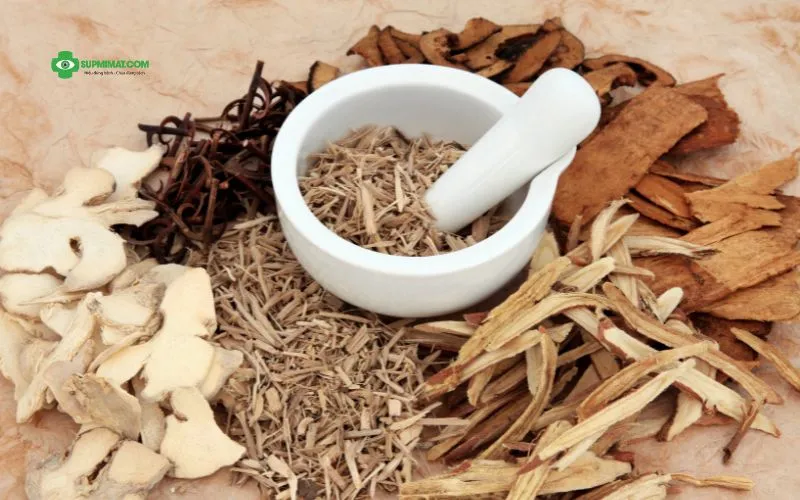 Trang chủ Phương pháp điều trị sụp mí mắt bằng Đông y (yhct)